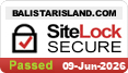 website security