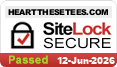website security