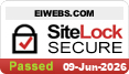 website security