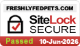 website security