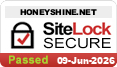 website security