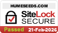 website security
