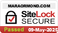 website security