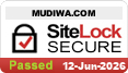 website security