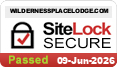 website security