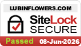 malware removal and website security