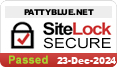 website security