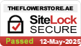 website security